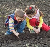 6 Bauplätze mit Privatweg im Einzugsgebiet Prag