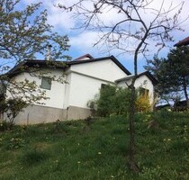 3 Schlafzimmerhaus, Scheune, Weinberg, Holz und Garten - Destrnik