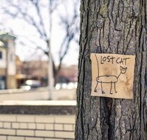 Farm - 2.000.000,00 EUR Kaufpreis, ca. 1.350.000,00 m² in Hermannstadt (PLZ: )