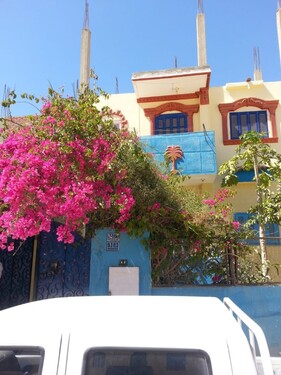 Bild 3 - 3 Zimmer Einfamilienhaus in Al-Qahira