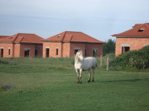 Bild 2 - 5 Zimmer Einfamilienhaus zum Kaufen in Sao Paio Gouveia
