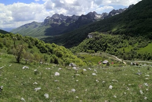 Bild 1 - Grosse Baugrund 32013m2 ca 12km Ski Zug