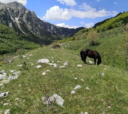Bild 2 - Grundstück zum Kaufen in Kalashin-Lipovo