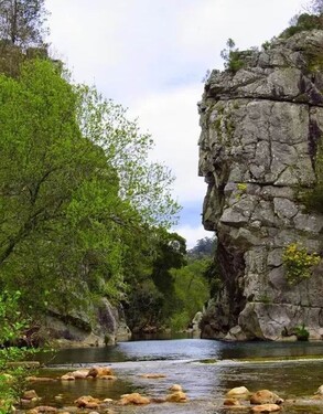 Bild 2 - 3 Zimmer Etagenwohnung zum Kaufen in Lousã