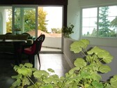 Bild 2 - 15 Zimmer Einfamilienhaus zum Kaufen in Varna