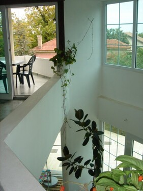 Bild 3 - 15 Zimmer Einfamilienhaus in Varna
