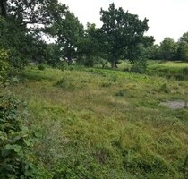 Schöne Grundstücke an der Ostsee mit eigener See- Uferlinie - Pruszcz