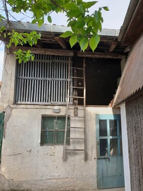 Bild 2 - 4 Zimmer Einfamilienhaus zum Kaufen in San Vito Al Torre ( UD)