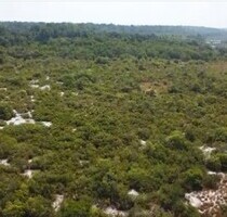 Brasilien 1000 Ha Grundstück in der Nähe von Manaus
