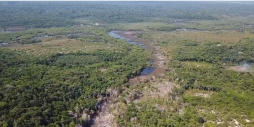Bild 3 - Grundstück in Manaus