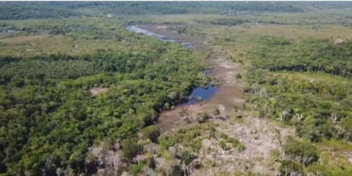 Bild 4 - Grundstück in Manaus zum Kaufen