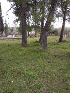 Bild 1 - Grundstück am Meer auf Insel Euböa