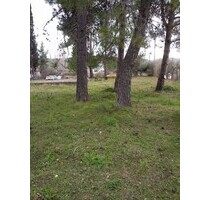 Grundstück am Meer auf Insel Euböa - Agiokampos