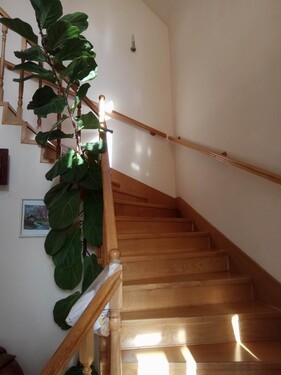 Bild 3 - 7 Zimmer Einfamilienhaus in Budapest