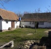 Im Komitat Bacs-kiskun ein 60m2 Bauernhaus zu renovieren - Csikéria