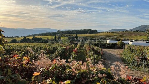 Bild 1 - Landhaus mit Garten und Panoramablick in Portugal