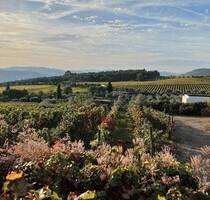 Landhaus mit Garten und Panoramablick in Portugal - Pacos
