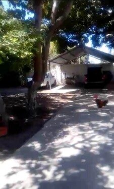 Bild 3 - 15 Zimmer Einfamilienhaus in Manta