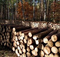 6,5 Hektar Grundstück in Piribebuy