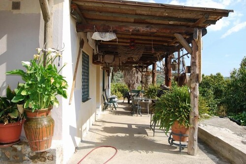 Bild 1 - Avocadofarm als Reinvest der besten Güteklasse