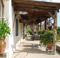 Avocadofarm als Reinvest der besten Güteklasse - Periana