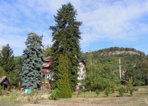 Bild 2 - 6 Zimmer Einfamilienhaus zum Kaufen in Szigliget