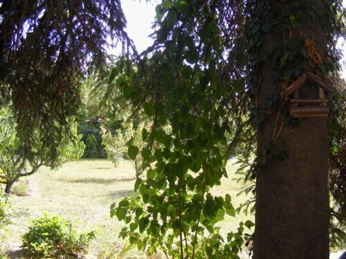 Bild 3 - 6 Zimmer Einfamilienhaus in Szigliget