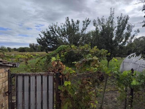 Bild 4 - Einfamilienhaus mit 100,00 m² in Balatonszentgyörgy zum Kaufen