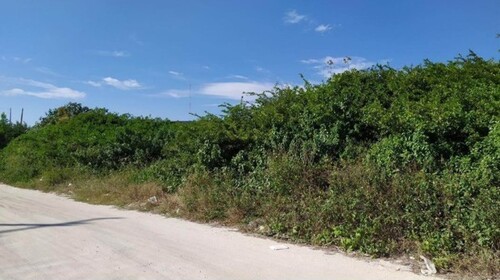 Bild 1 - Baugrundstück Sisal Yucatan Mexiko nahe am Meer