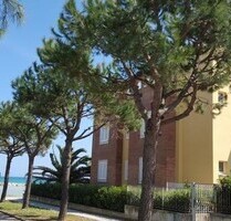 Direkt am Meer Adria Wohnung, Terrasse - Cupra marittima