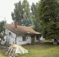 Zwei Bauernhäuser zu renovieren mit 3 Ha Land - Csengele