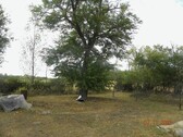 Bild 5 - 