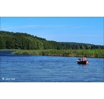 Freizeitgrundstück - 12.000,00 EUR Kaufpreis, ca.  1.020,00 m² in Gross Born (PLZ: 78449)