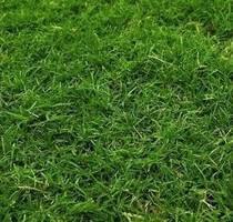 Gute Geldanlage, Baugrunstück mitten in der Stadt - Broumov Velka ves