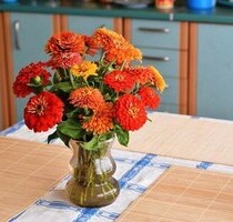 2 Eigentumswohnungen - 60.000,00&nbsp;EUR Kaufpreis, ca.&nbsp; 74,00&nbsp;m&sup2;&nbsp;Wohnfl&auml;che in Szczecin (PLZ: 70415)