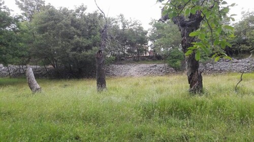 Bild 3 - Grundstück in Polje