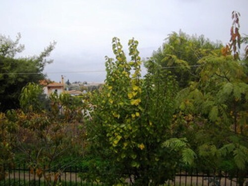 Bild 1 - Landhaus im Grünen mit Blick auf das Meer