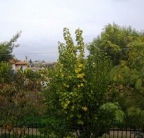 Landhaus im Grünen mit Blick auf das Meer - OROPOS