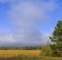 Traumvilla in Südspanien - 750.000,00&nbsp;EUR Kaufpreis, ca.&nbsp; 523,00&nbsp;m&sup2;&nbsp;Wohnfl&auml;che in Calabardina (PLZ: 30889)