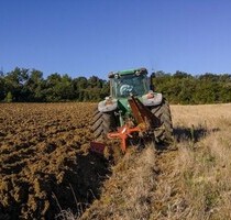 Ackerland zu verkaufen - 314.400,00 EUR Kaufpreis, ca.  104.800,00 m² in Afumati (PLZ: 207005)