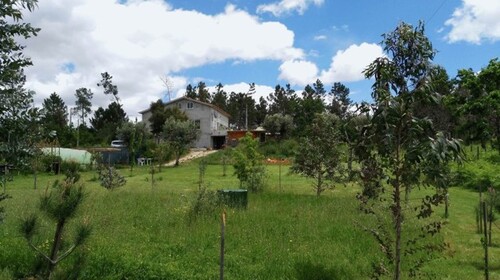 Bild 1 - Stilvolles Landhaus an sehr ruhiger Lage in Zentralportugal