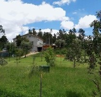 Stilvolles Landhaus an sehr ruhiger Lage in Zentralportugal - Graca (Pedrogao Grande)