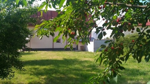 Bild 2 - Grundstück zum Kaufen in Bukarest