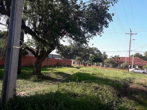 Bild 2 - Grundstück zum Kaufen in Luque-San Francisco