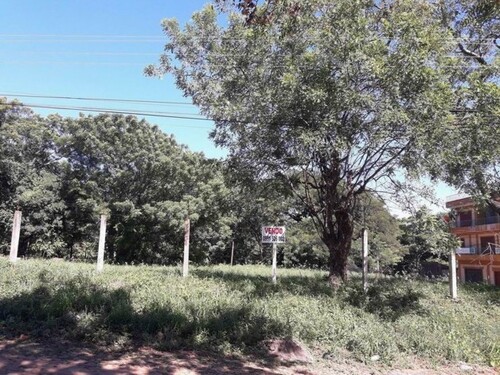 Bild 2 - Grundstück zum Kaufen in Luque