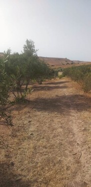 Bild 3 - 2 Zimmer Einfamilienhaus in Khemisset