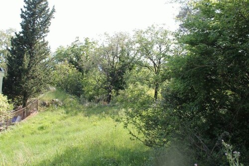 Bild 2 - Grundstück zum Kaufen in Kreis Bar