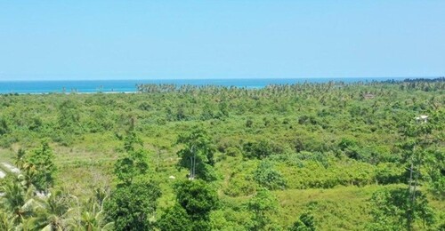 Bild 1 - Grundstück mit Meerblick Südküste Sri Lanka