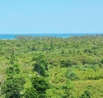 Grundstück mit Meerblick Südküste Sri Lanka - Akurala Grundstück mit Meerblick Südküste Sri Lanka - Akurala