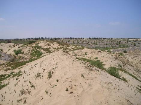 Bild 2 - 1 Zimmer Einfamilienhaus zum Kaufen in North of Delta